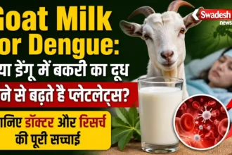 Goat Milk for Dengue