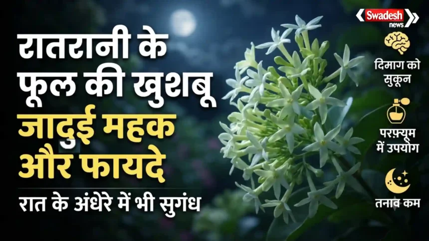 रात में खिलने वाले रातरानी के फूल और उसकी सुगंध के फायदे