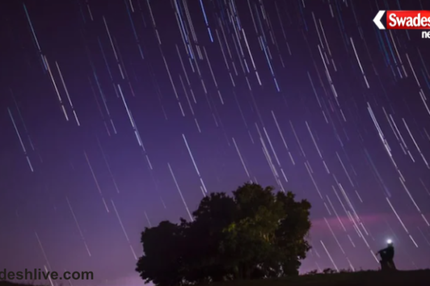Perseid Meteor Shower