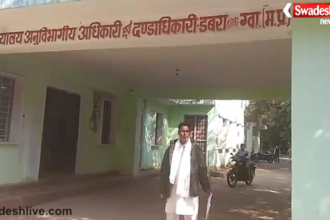Dabra Land Mafia