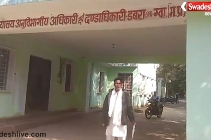 Dabra Land Mafia