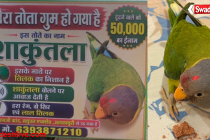 Missing Parrot Gwalior