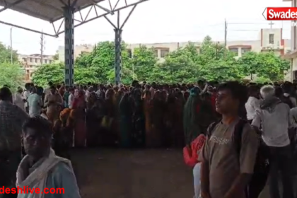 Bhind Fertilizer Crisis