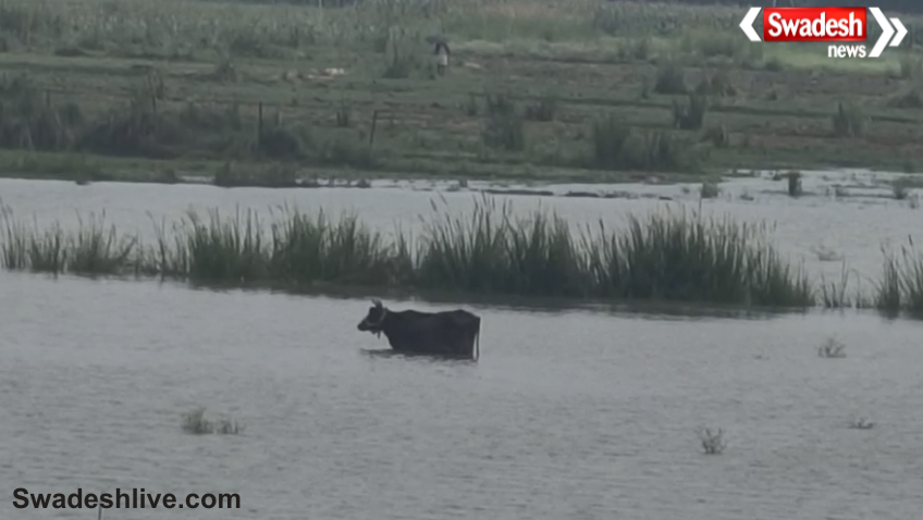 Bhojpur Flood Ganga Water Level