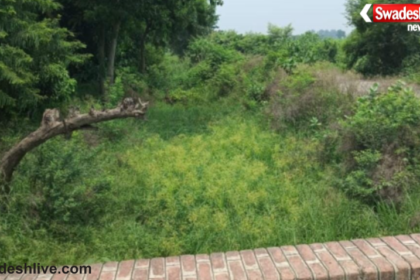 Bhanwarkol Canal Water Crisis