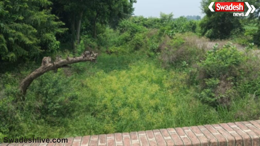 Bhanwarkol Canal Water Crisis
