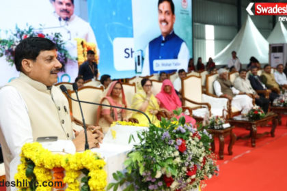 Pithampur Industrial Park