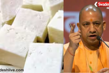Analog Paneer Ban