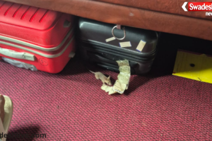 Rat Bite in Train