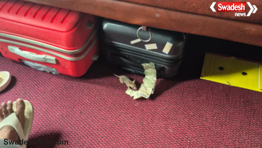Rat Bite in Train