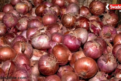 Onion Price News