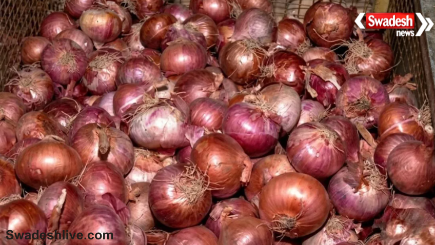 Onion Price News
