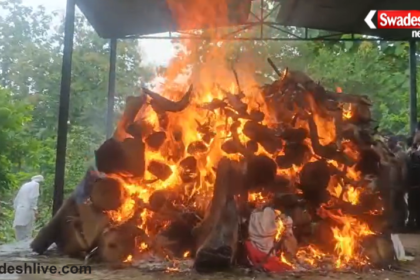 Rajgarh Accident