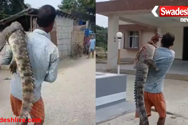 Crocodile Carried to Police Station