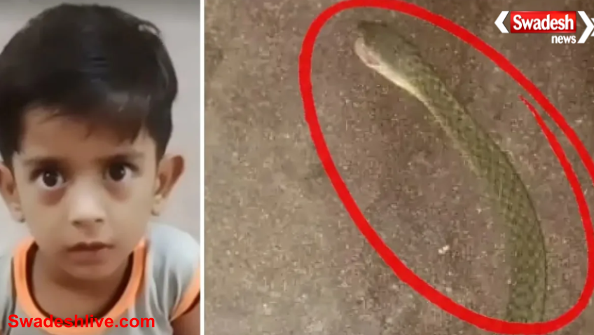 Snake Bite Child Kanpur