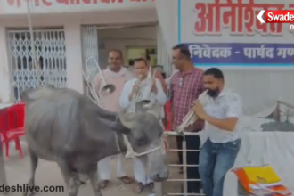 Dabra Nagar Palika Protest