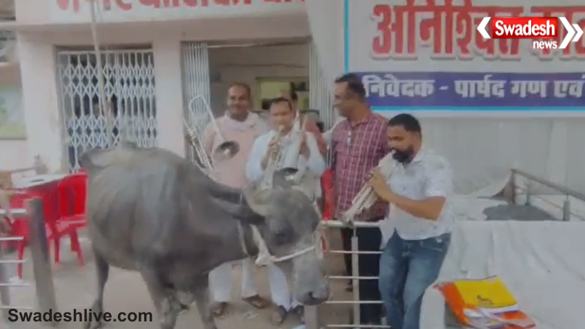 Dabra Nagar Palika Protest