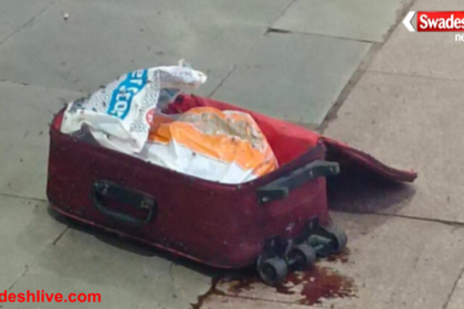 Trolley Bag Body