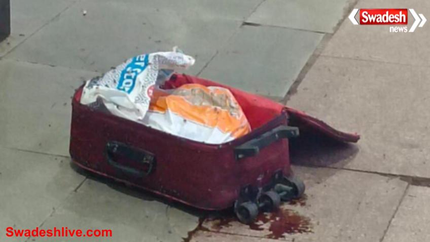 Trolley Bag Body