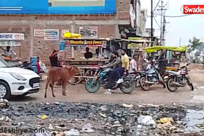 Dabra Protest