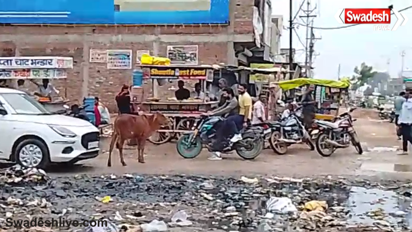 Dabra Protest