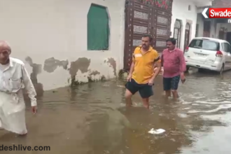 Datia Rain News