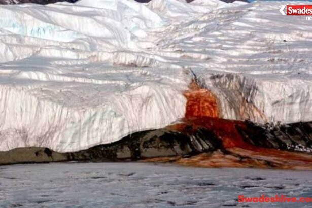 https://swadeshlive.com/khabar-hatke-antarctica-blood-falls-mystery/