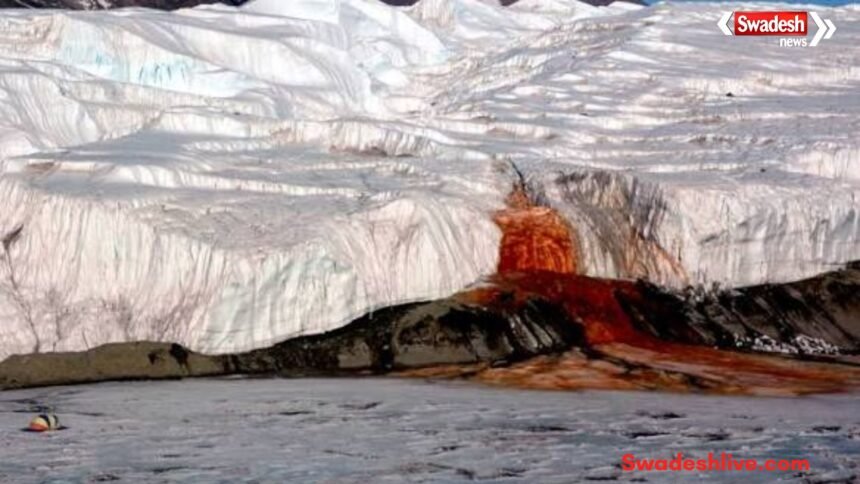 https://swadeshlive.com/khabar-hatke-antarctica-blood-falls-mystery/