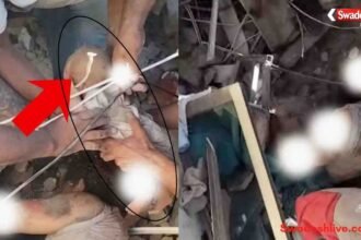 https://swadeshlive.com/colombia-earthquake-rescue-newborn-baby/