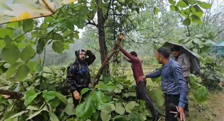 Dabri Forest Area 