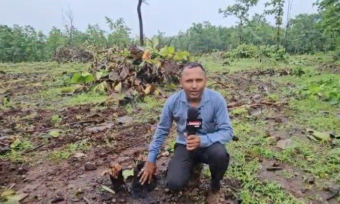 Dabri Forest Area 