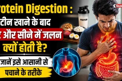 ज्यादा प्रोटीन लेने से पेट में क्यों हो सकती है जलन?