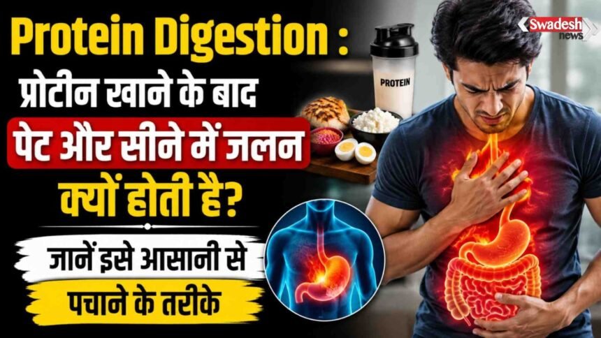 ज्यादा प्रोटीन लेने से पेट में क्यों हो सकती है जलन?