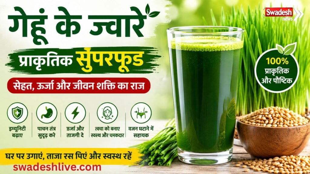 ताजा गेहूं के जवारे का हरा रस गिलास में, स्वास्थ्य और पोषण का प्राकृतिक स्रोत