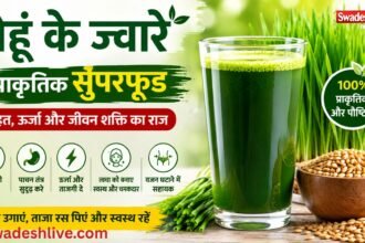 ताजा गेहूं के जवारे का हरा रस गिलास में, स्वास्थ्य और पोषण का प्राकृतिक स्रोत