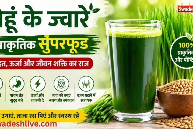 ताजा गेहूं के जवारे का हरा रस गिलास में, स्वास्थ्य और पोषण का प्राकृतिक स्रोत