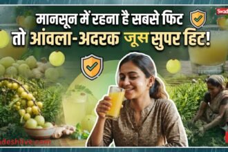 बारिश के मौसम में आंवला-अदरक का रस पीने के फायदे और इम्युनिटी बढ़ाने के उपाय
