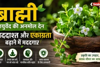 ब्राह्मी का पौधा और इसकी हरी पत्तियां