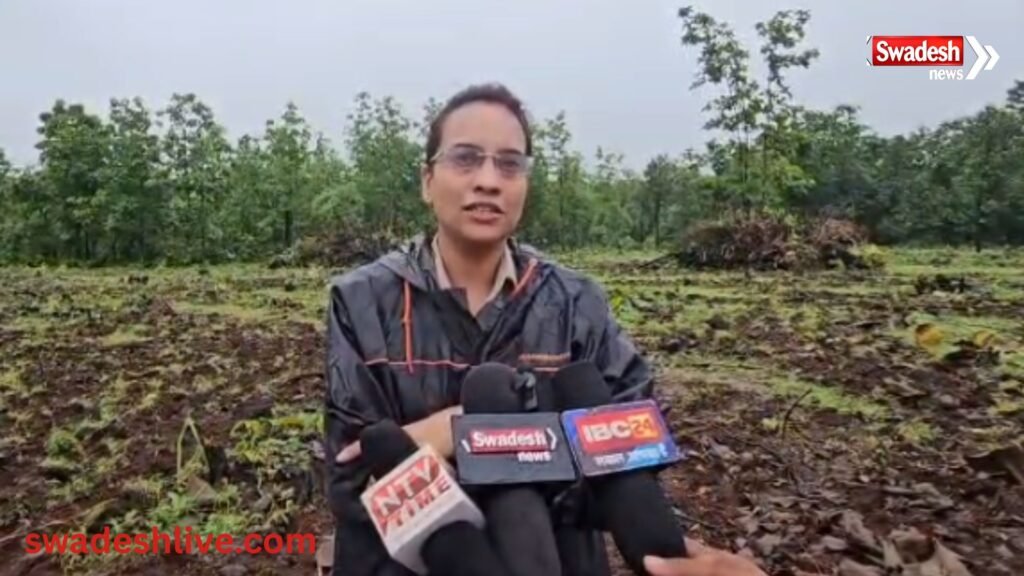 Dabri Forest Area 
