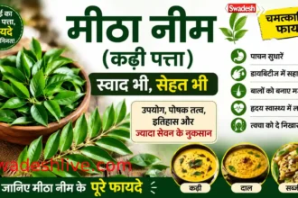 कढ़ी पत्ता यानी मीठा नीम की ताजी पत्तियां, जिनका उपयोग दाल, कढ़ी और आयुर्वेदिक घरेलू उपचार में किया जाता है