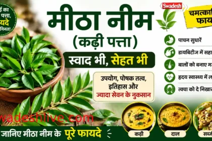 कढ़ी पत्ता यानी मीठा नीम की ताजी पत्तियां, जिनका उपयोग दाल, कढ़ी और आयुर्वेदिक घरेलू उपचार में किया जाता है