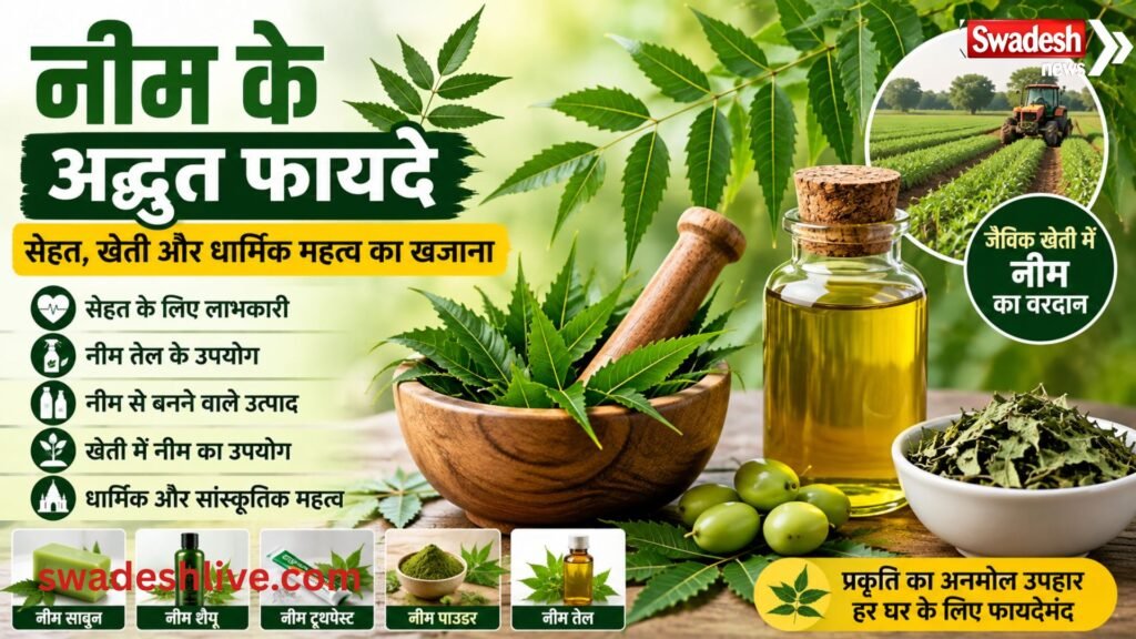 Neem tree leaves neem oil and organic farming uses with health and religious benefits in Hindi