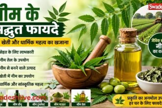 Neem tree leaves neem oil and organic farming uses with health and religious benefits in Hindi