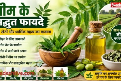 Neem tree leaves neem oil and organic farming uses with health and religious benefits in Hindi