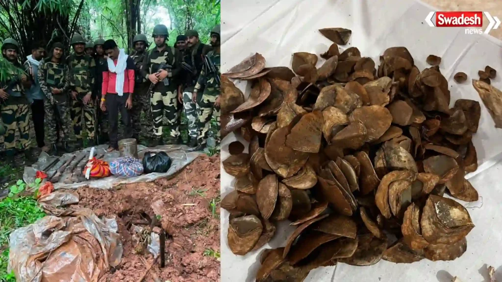 pakhanjur-naxal-dump-pangolin-scales-recovered