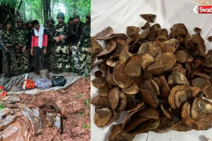pakhanjur-naxal-dump-pangolin-scales-recovered