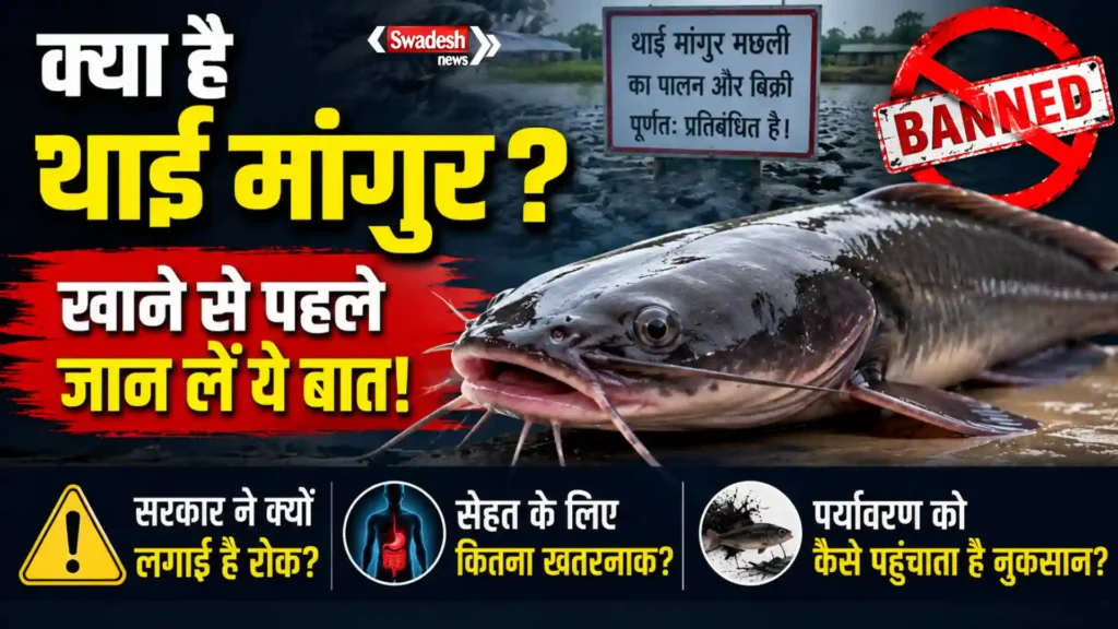 thai-mangur-fish-ban-health-risks
