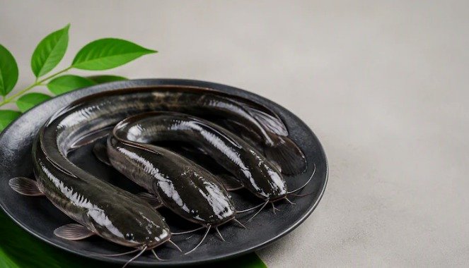 thai-mangur-fish-ban-health-risks