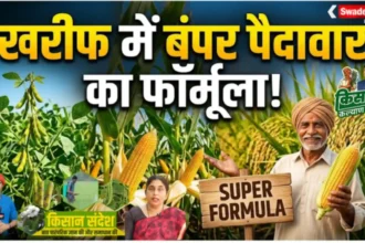 Kisan Sandesh Dhan Makka
