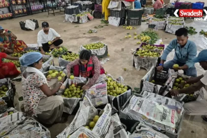 Netarhat Pear